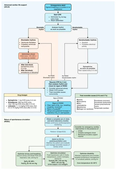 Расширенная сердечно-лёгочная реанимация (ACLS)