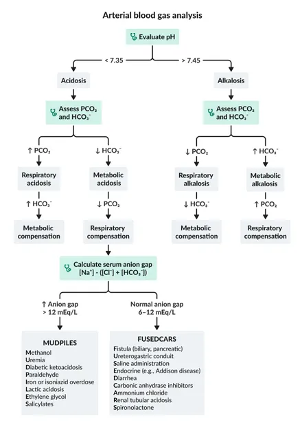 Анализ газов артериальной крови