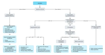 Дифференциальная диагностика желтухи
